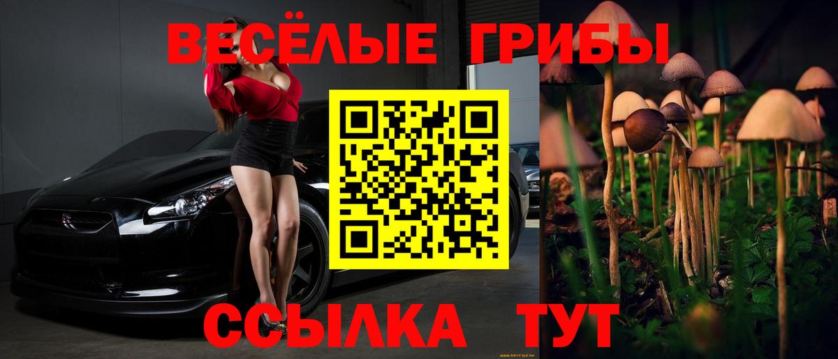 Ирбит  Галлюциногенные грибы MAGIC MUSHROOMS  Псилоцибиновые грибы прущие грибы  Вход с VPN 